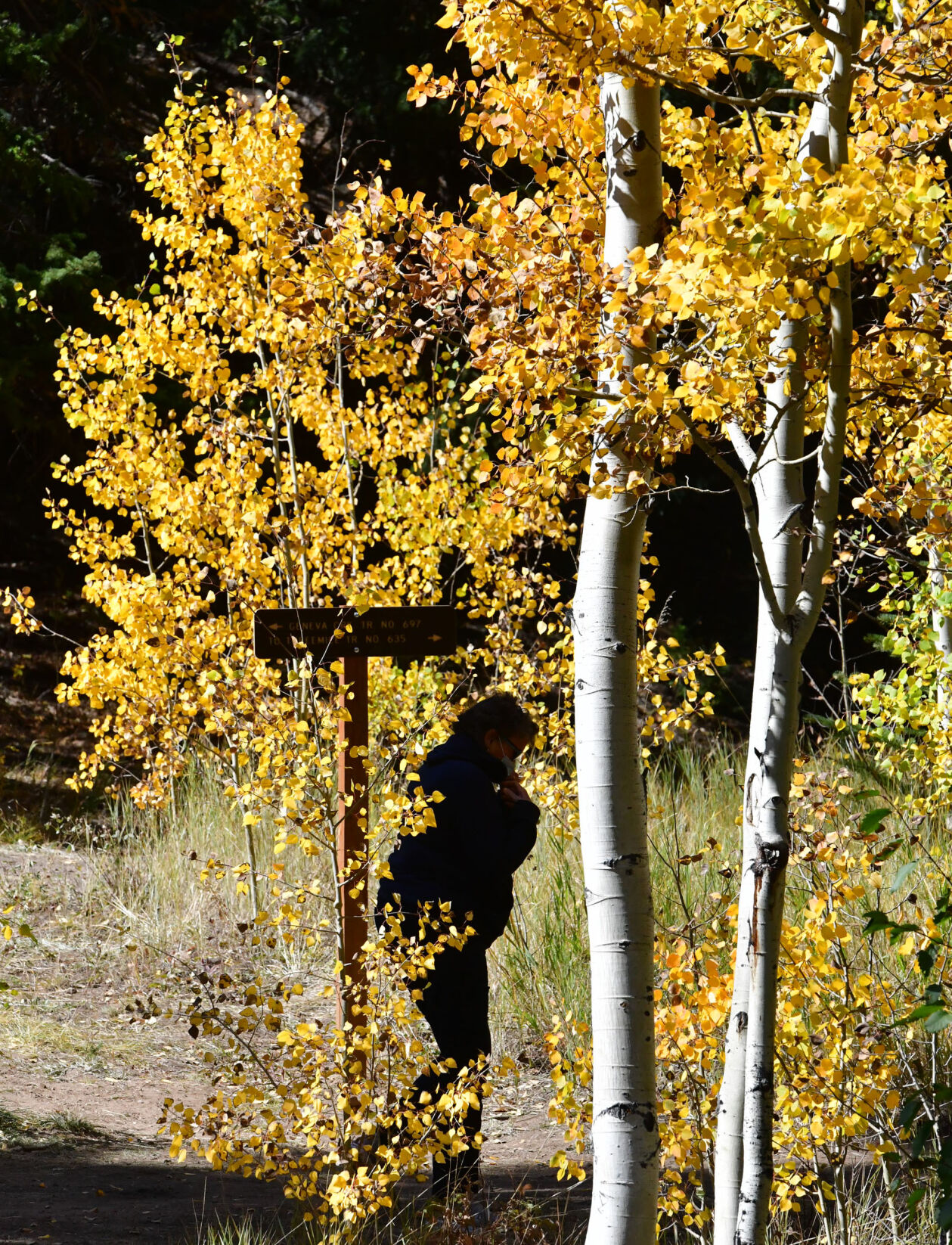 100420-news-aspens 09.JPG